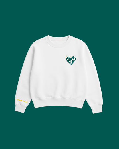 the sweatshirt